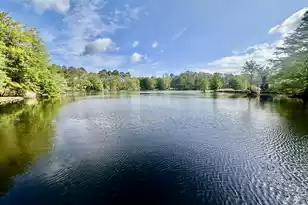 118 Broad River Dr, Santee, SC 29142 - Photo 45