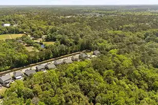 1652 Fishbone Dr, Johns Island, SC 29455 - Photo 59