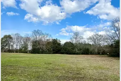 00 Brodie Street, Springfield, SC 29146 - Photo 3