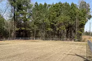 10685 Jefferies Hwy, Walterboro, SC 29488 - Photo 21
