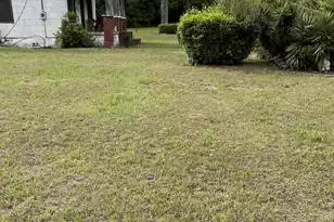 0 Dexter St, Blackville, SC 29817 - Photo 11