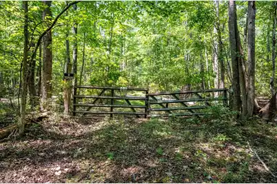 0 Hyde Park Road, Adams Run, SC 29426 - Photo 7
