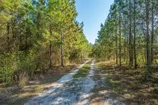 380 Rhode Dr, Cottageville, SC 29435 - Photo 5