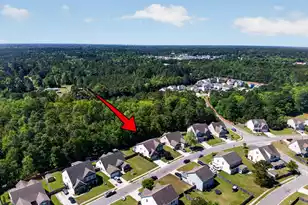 133 Carolina Wren Ave, Moncks Corner, SC 29461 - Photo 57
