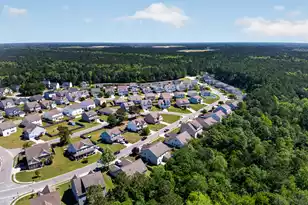 133 Carolina Wren Ave, Moncks Corner, SC 29461 - Photo 59