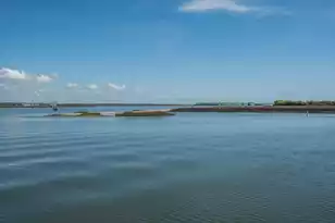 405 Seabreeze Ln, Sullivans Island, SC 29482 - Photo 55