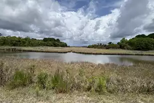 599 2 Mile Run, Johns Island, SC 29455 - Photo 73