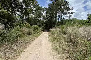 599 2 Mile Run, Johns Island, SC 29455 - Photo 73