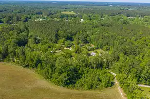 154 Rogers Branch Rd, Ridgeville, SC 29472 - Photo 73