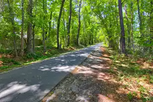 415 Parkdale Dr, Charleston, SC 29414 - Photo 39