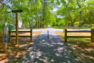 415 Parkdale Dr, Charleston, SC 29414 - Photo 19