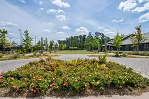 216 Symphony Ave, Summerville, SC 29486 - Photo 69