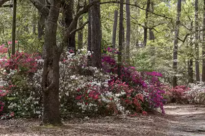 115 Old Postern Road, Summerville, SC 29483 - Photo 71