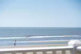 304 Ocean Blvd, Isle Of Palms, SC 29451 - Photo 127