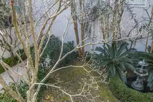 31 Wentworth St, Charleston, SC 29401 - Photo 21