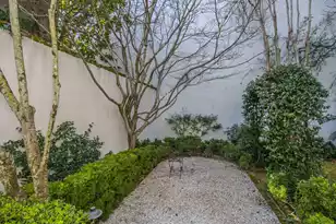 31 Wentworth St, Charleston, SC 29401 - Photo 29