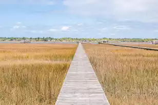 1368 Headquarters Plantation Dr, Johns Island, SC 29455 - Photo 51