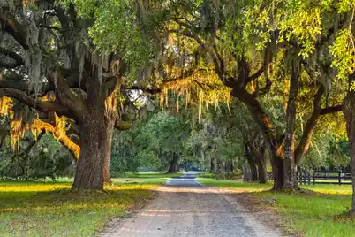 6001 Selkirk Plantation Road, Wadmalaw Island, SC 29487 - Photo 17
