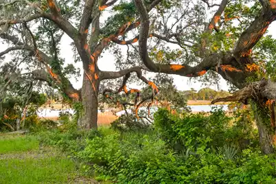 6001 Selkirk Plantation Road, Wadmalaw Island, SC 29487 - Photo 9