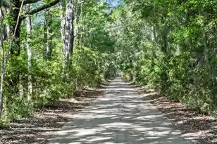 6195 Ranch Rd, Wadmalaw Island, SC 29487 - Photo 39