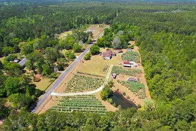 9760 Randall Road, McClellanville, SC 29458 - Photo 5