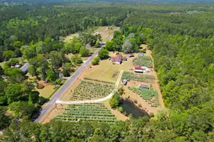 9760 Randall Rd, McClellanville, SC 29458 - Photo 5