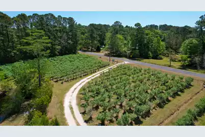 9760 Randall Road, McClellanville, SC 29458 - Photo 19