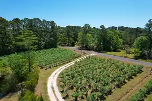 9760 Randall Rd, McClellanville, SC 29458 - Photo 19