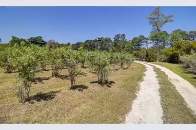 9760 Randall Road, McClellanville, SC 29458 - Photo 53