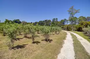 9760 Randall Rd, McClellanville, SC 29458 - Photo 53