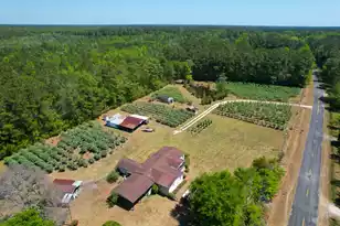9760 Randall Rd, McClellanville, SC 29458 - Photo 3