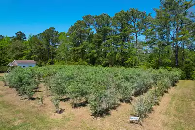 9760 Randall Road, McClellanville, SC 29458 - Photo 15