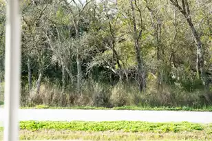 662 Schooner Rd, Charleston, SC 29412 - Photo 7