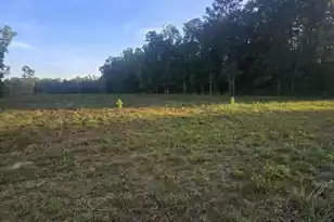 00 Central Ave, Summerville, SC 29483 - Photo 3