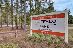 151 Dark Holw Wy, Summerville, SC 29485 - Photo 51