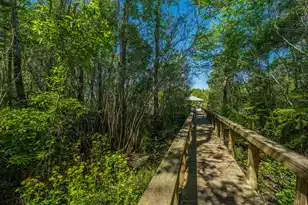 9434 Savannah Hwy, Adams Run, SC 29426 - Photo 43