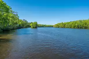 9434 Savannah Hwy, Adams Run, SC 29426 - Photo 49