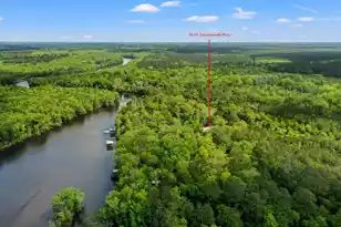 9434 Savannah Hwy, Adams Run, SC 29426 - Photo 129