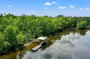 9434 Savannah Hwy, Adams Run, SC 29426 - Photo 133