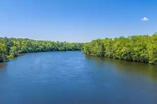 9434 Savannah Hwy, Adams Run, SC 29426 - Photo 101
