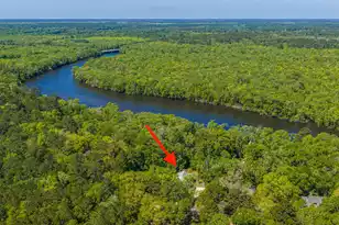 9434 Savannah Hwy, Adams Run, SC 29426 - Photo 75