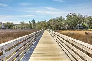 114 Etiwan Park St, Charleston, SC 29492 - Photo 41