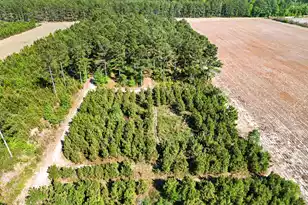 502 Partridge Rd, Ehrhardt, SC 29081 - Photo 51