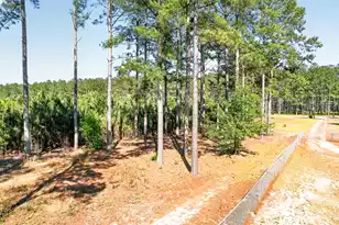 502 Partridge Rd, Ehrhardt, SC 29081 - Photo 47