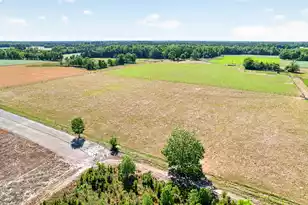 502 Partridge Rd, Ehrhardt, SC 29081 - Photo 49