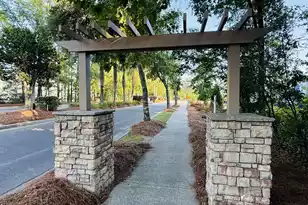1439 Roustabout Way, Charleston, SC 29414 - Photo 61