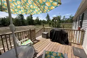 177 Ash Hill Dr, Eutawville, SC 29048 - Photo 25