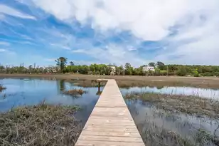 3000 Rushland Mews, Johns Island, SC 29455 - Photo 87