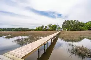 3000 Rushland Mews, Johns Island, SC 29455 - Photo 3