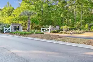 146 Brant Dr, Summerville, SC 29483 - Photo 89